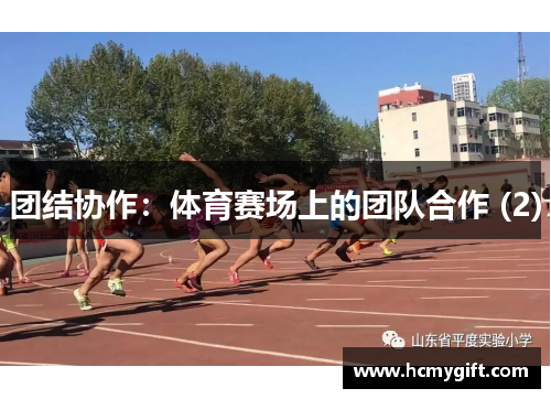 团结协作：体育赛场上的团队合作 (2)