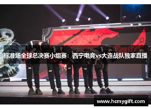标准场全球总决赛小组赛：西宁电竞vs大连战队独家直播